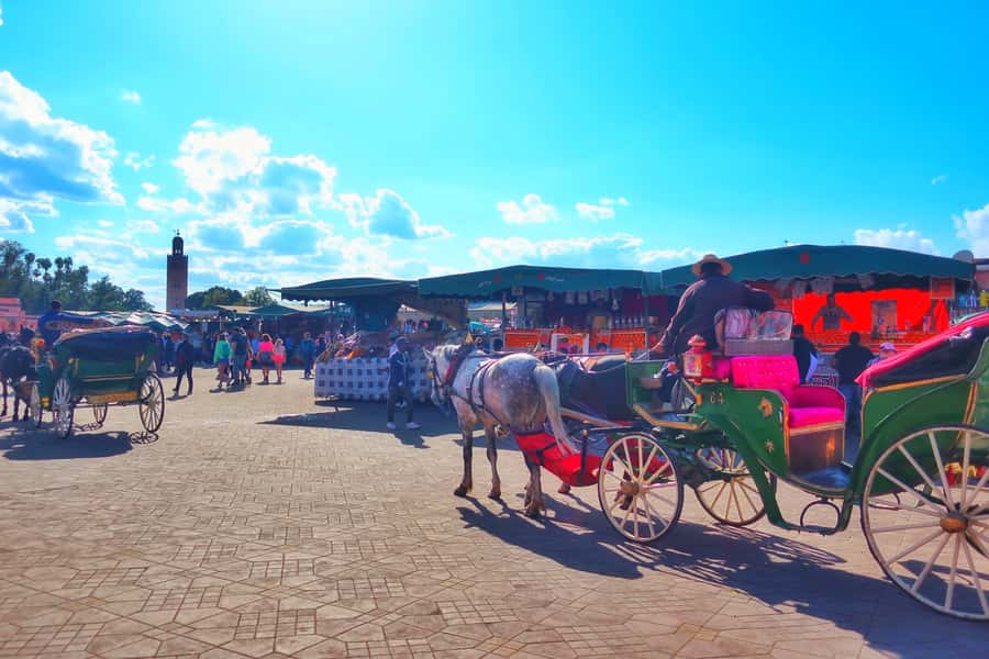 Marrakech: Private Half-Day City Highlights Tour - Start in Gueliz and Hivernage, the Marrakech You Can Orient From