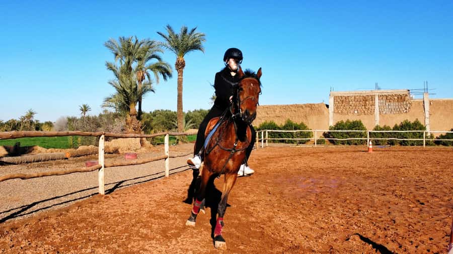 Marrakech: Private Horseback Tour in the Palm Grove with Tea - Key things you will remember from this Marrakech horse tour