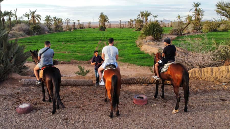 Marrakech: Private Horseback Tour in the Palm Grove with Tea - Palm Grove on Horseback: Why This Marrakech Ride Feels Different