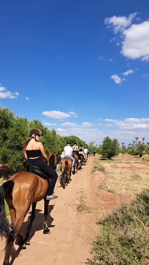 Marrakech: Private Horseback Tour in the Palm Grove with Tea - Meet Your Horse: What Setup Really Looks Like for Beginners