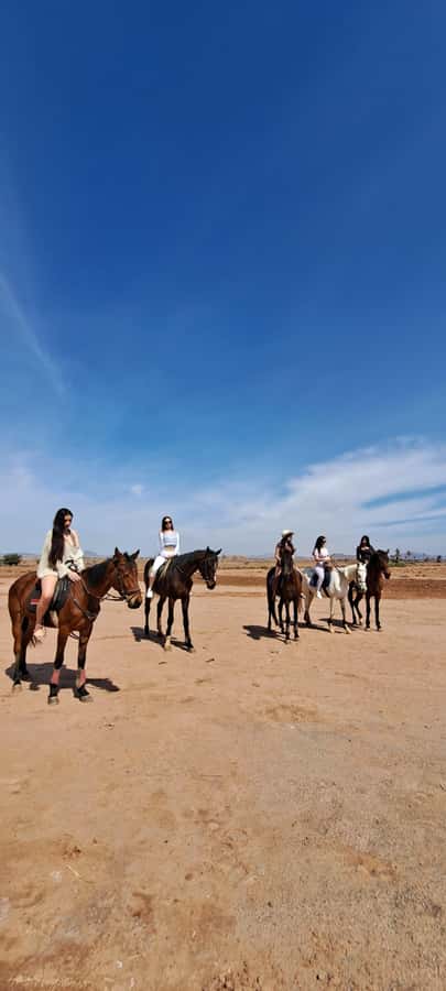 Marrakech: Private Horseback Tour in the Palm Grove with Tea - Guides and Local Stories: Who You Might Ride With