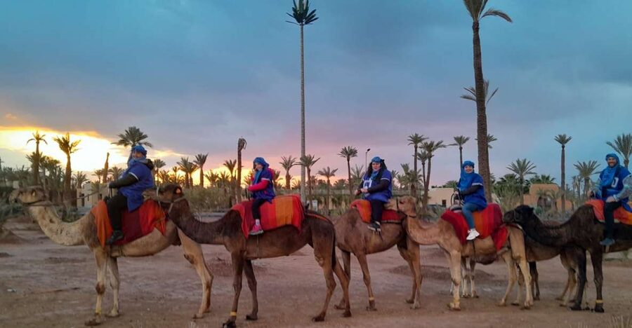 Marrakech: Private Palm Grove Camel and Quad Bike Ride - Getting out of the medina: pickup, ride time, and what really changes