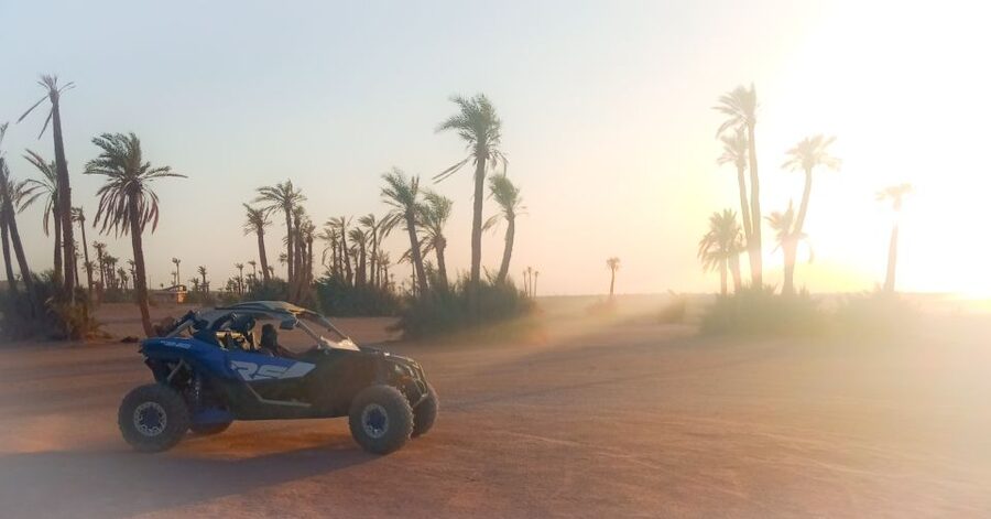 Marrakech: Private Palm Grove Camel and Quad Bike Ride - Quad bike time in the palms: the fun you came for