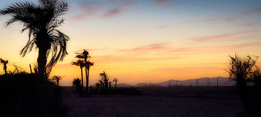 Marrakech: Private Palm Grove Camel and Quad Bike Ride - Sunset rides: when the light makes Marrakech’s palms look magical