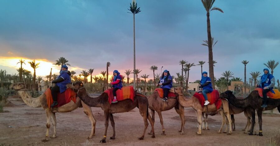 Marrakech: Private Palm Grove Camel and Quad Bike Ride - Price and value at about $58 per person