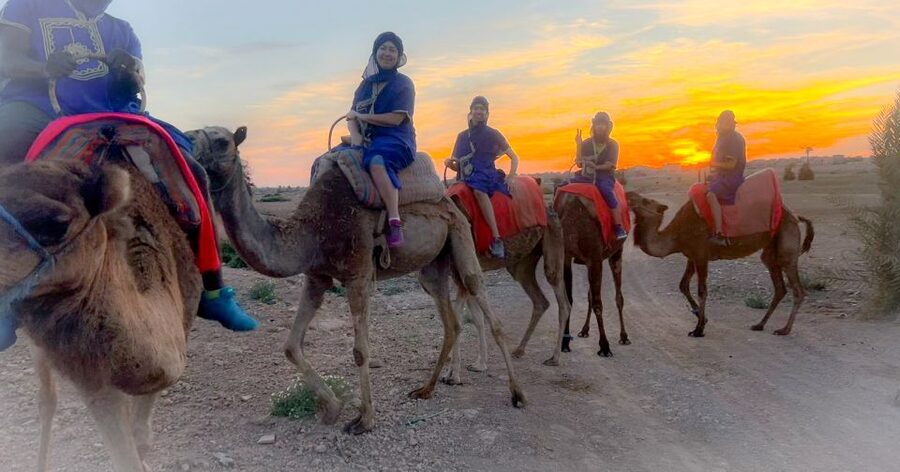 Marrakech: Private Palm Grove Camel and Quad Bike Ride - What to bring, plus quick comfort tips that matter