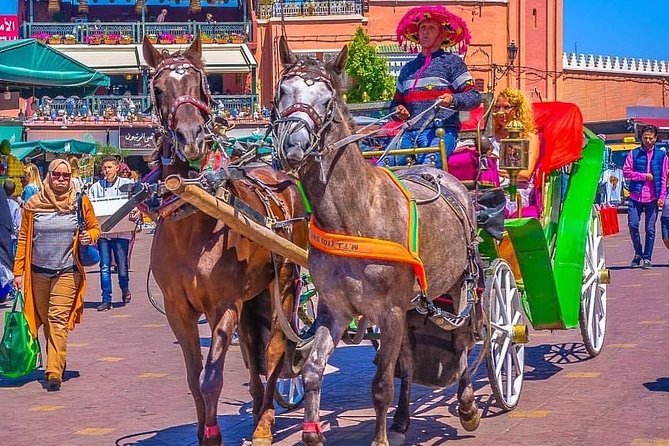 Marrakech Private Souks Tour: Exclusive Shopping Experience - Logistics you should plan for before you go