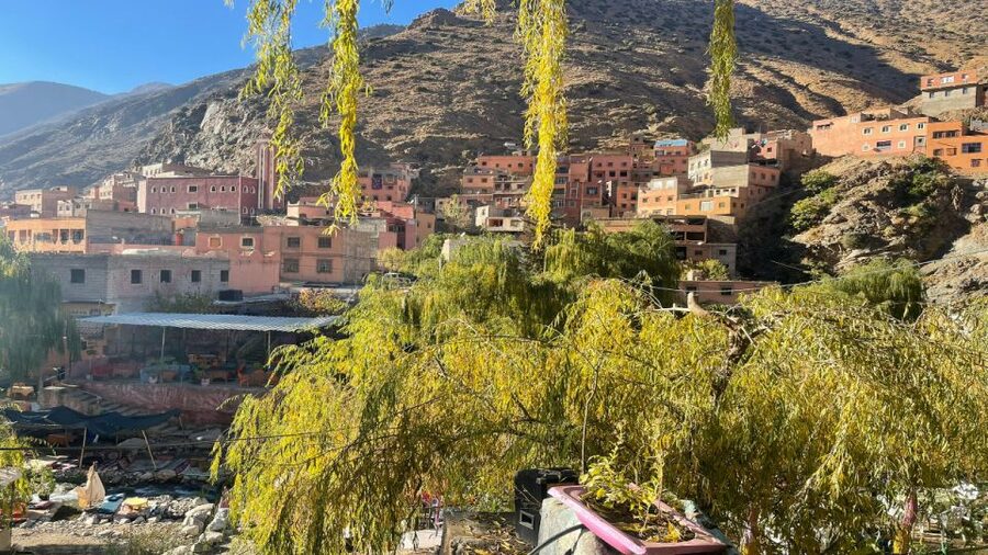 Marrakech : Private To Ourika Valley Atlas Mountains & Lunch - Timing and comfort: the 7-hour rhythm