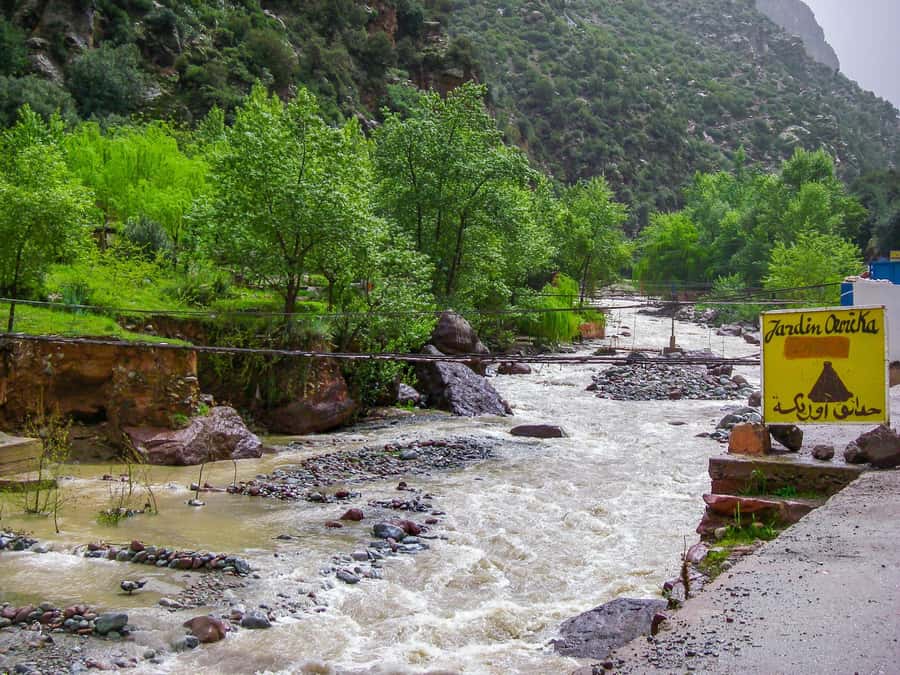 Marrakech : Private To Ourika Valley Atlas Mountains & Lunch - Your driver and guide: why private matters here