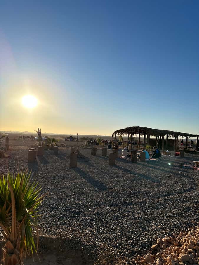 Marrakech: quad Adventure at the Dunes of the palmery desert - The Palmeraie photo break: where the tour becomes memorable