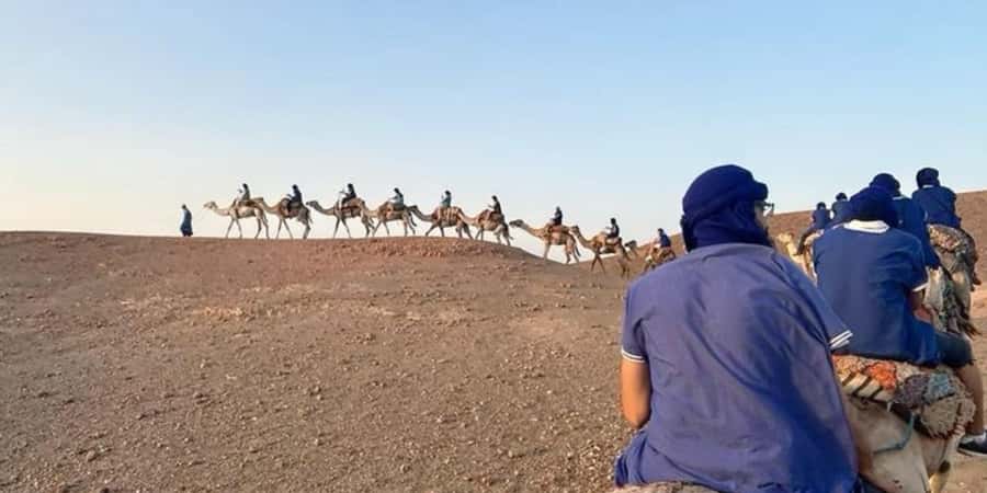 Marrakech: Quad Bike and Camel, Dinner Show in Agafay Desert - Quad biking in the rocky Agafay Desert: fun, dust, and shared rides