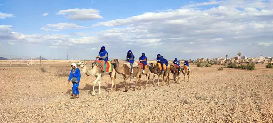 Marrakech: quad bike and Camel Ride in Marrakech - Entering the Palmeraie: Quad Biking Starts the Fun Fast