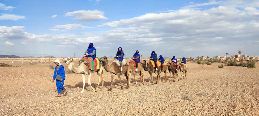 Marrakech: quad bike and Camel Ride in Marrakech - The Two-Hour Quad Ride: Adrenaline With Guardrails