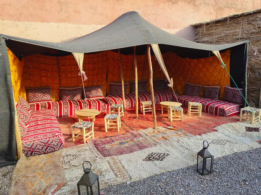 Marrakech: Quad Bike and Camel Ride Tour - Key things I’d zero in on before you book