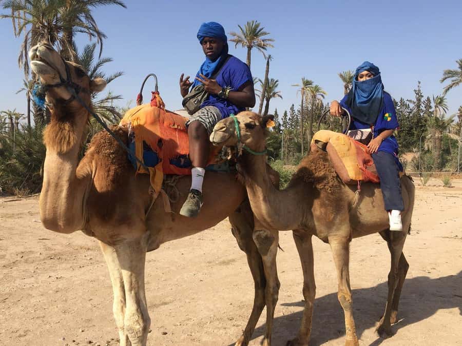 Marrakech: Quad Bike and Camel Ride Tour - Price and value: what $21 includes, and what it doesn’t