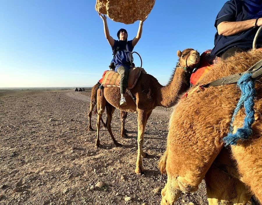 Marrakech : Quad Bike and Camel Ride with dinner in Agafay - Argan oil cooperative stop, tea, and why it matters