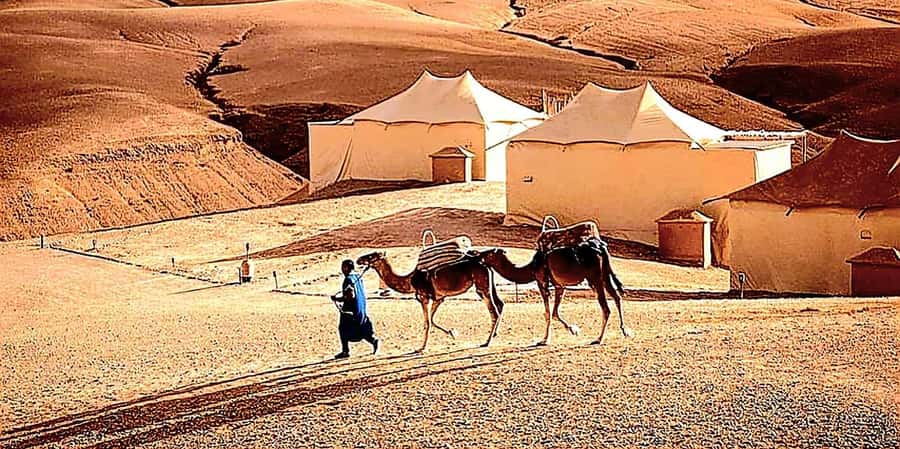 Marrakech : Quad Bike and Camel Ride with dinner in Agafay - Price and value: what $34 is buying you here