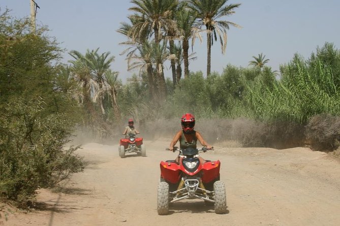 Marrakech Quad Bike ATV on the Palm Groves - Key Points You’ll Care About