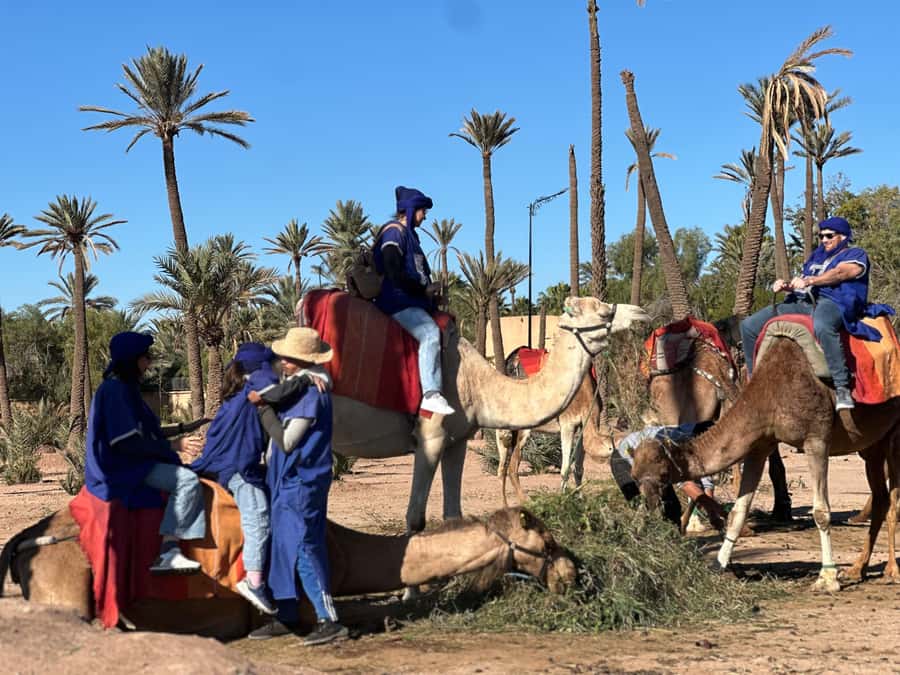 Marrakech: Quad Bike excursion at the sunset with Tea Break - Why a Marrakech sunset quad ride hits different in the Palmeraie
