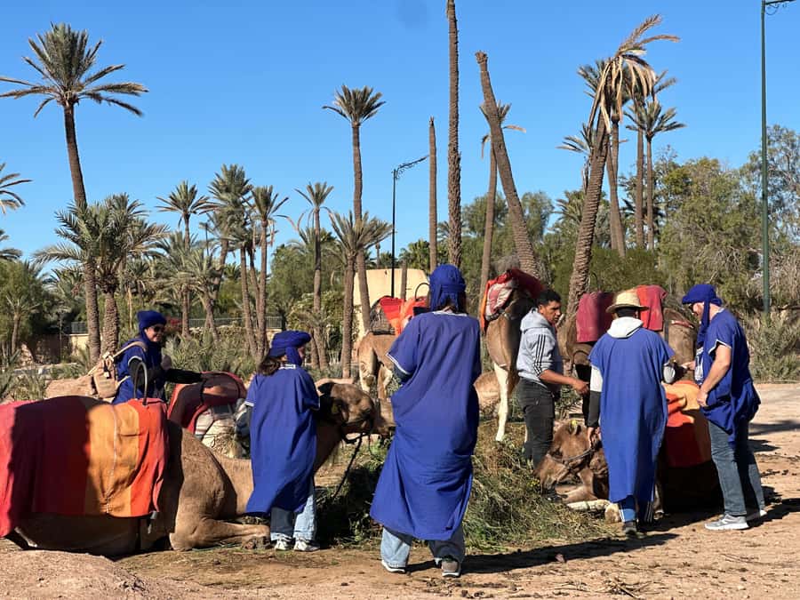 Marrakech: Quad Bike excursion at the sunset with Tea Break - Small rules that keep the ride smooth
