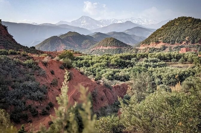 Marrakech: Quad Bike, Sunset, and Dinner Show in Agafay Desert - Logistics and Comfort: What to Pack and How to Make It Easier
