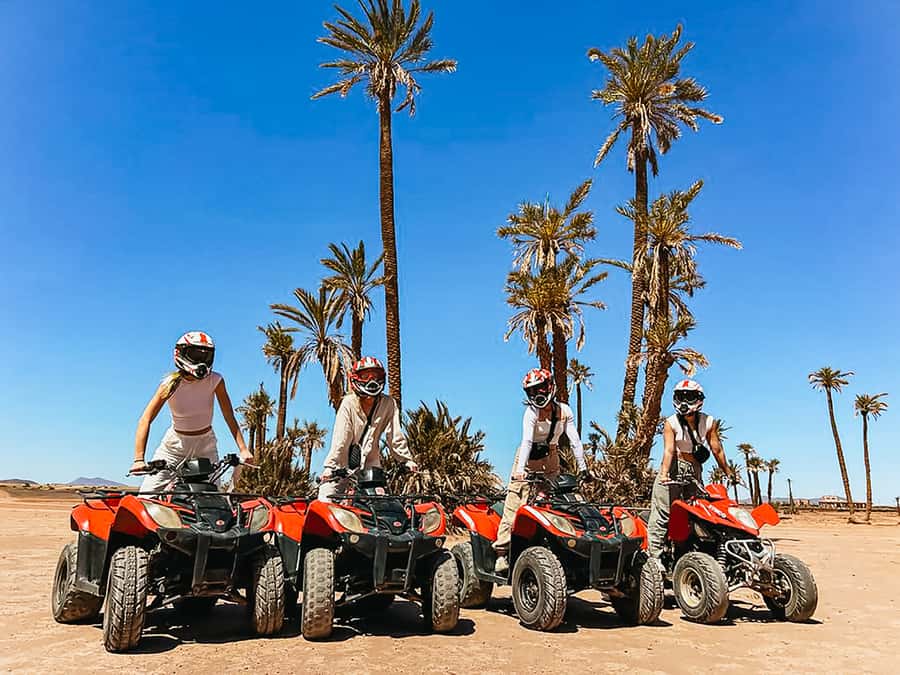 Marrakech: Quad Bike Tour to Palm Oasis and Jbilat Desert - Key Highlights You Should Know