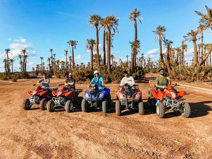 Marrakech: Quad Bike Tour to Palm Oasis and Jbilat Desert - Door to door pickup to Palmeraie, Marrakech