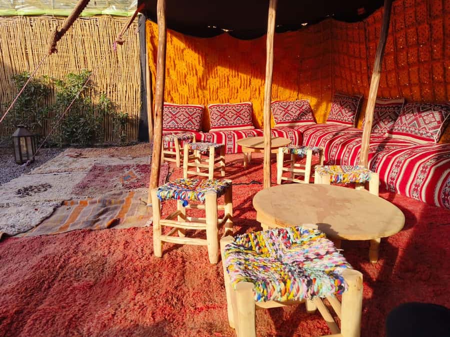 Marrakech: Quad Bike Tour to Palm Oasis and Jbilat Desert - Value at about $15 for 3 hours, with real inclusions