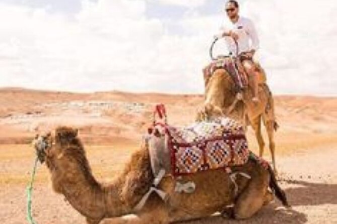 Marrakech: Quad & Camel Ride with Sunset, Dinner & Show - Berber Buffet Dinner and the Fire Show After Dark