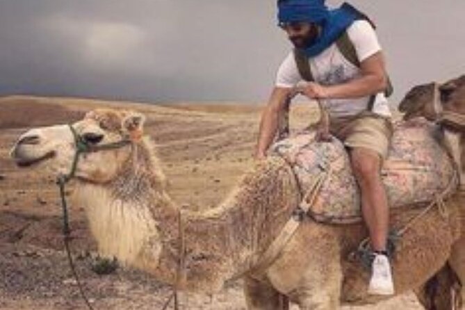 Marrakech: Quad & Camel Ride with Sunset, Dinner & Show - Who This Quad and Camel Ride Suits Best