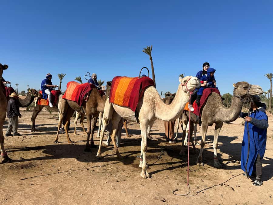 Marrakech:quad excursion at Jbilet desert with Moroccan tea - Key points at a glance