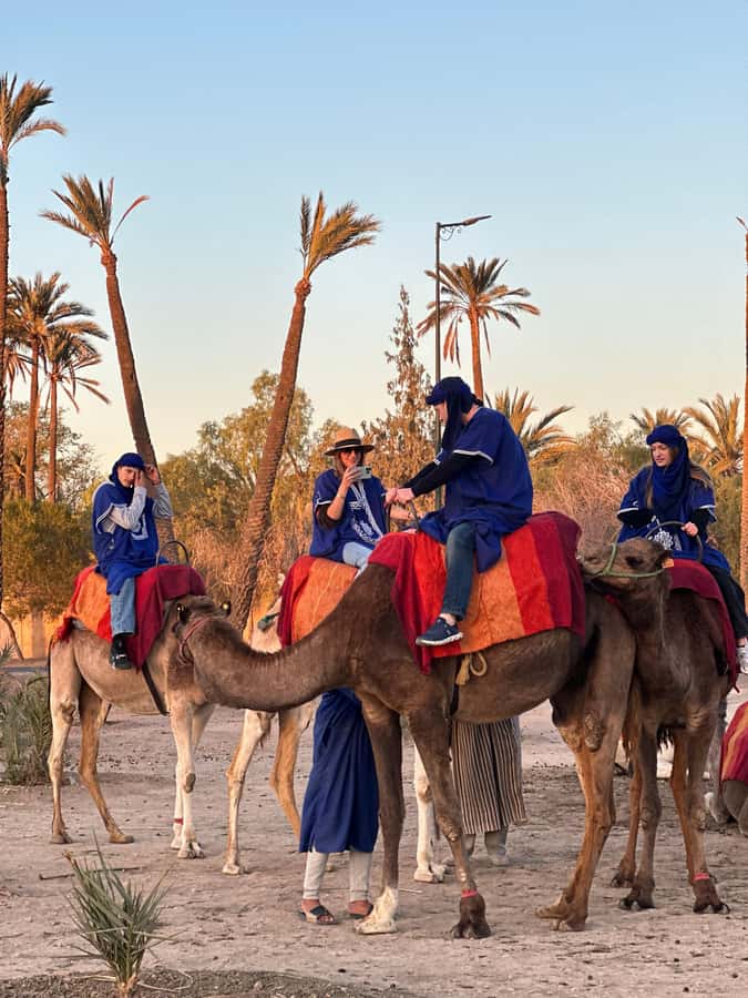 Marrakech:quad excursion at Jbilet desert with Moroccan tea - Quad through Jbilet Desert and palm groves, not just one type of track
