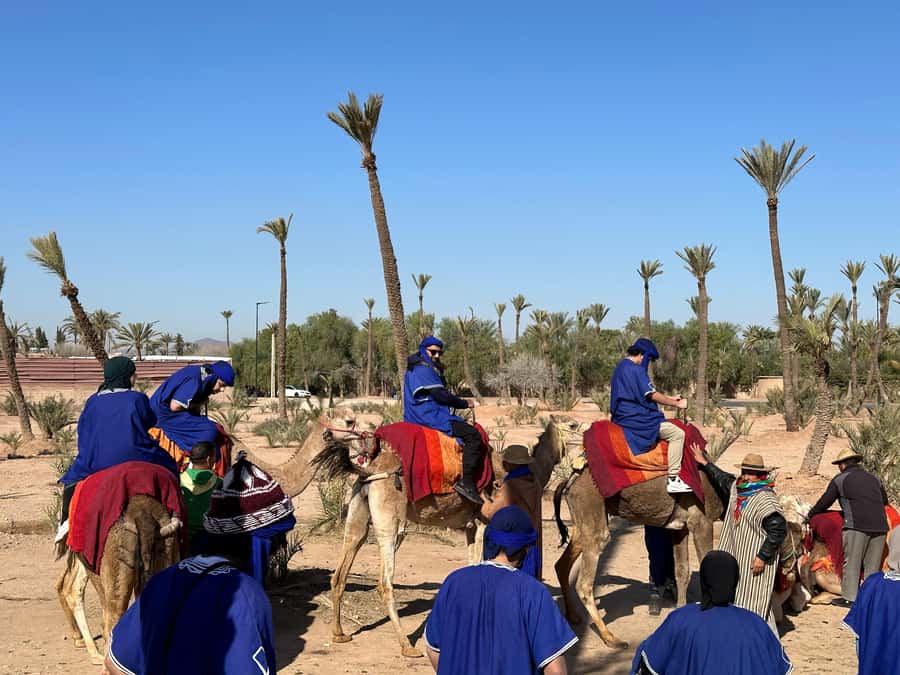 Marrakech:quad excursion at Jbilet desert with Moroccan tea - The desert portion: adrenaline, dust, and why the tea stop is the real reward