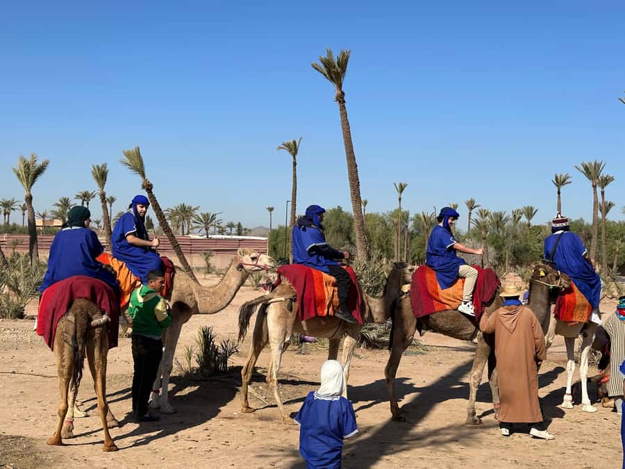 Marrakech:quad excursion at Jbilet desert with Moroccan tea - Moroccan tea in the desert: what you should expect
