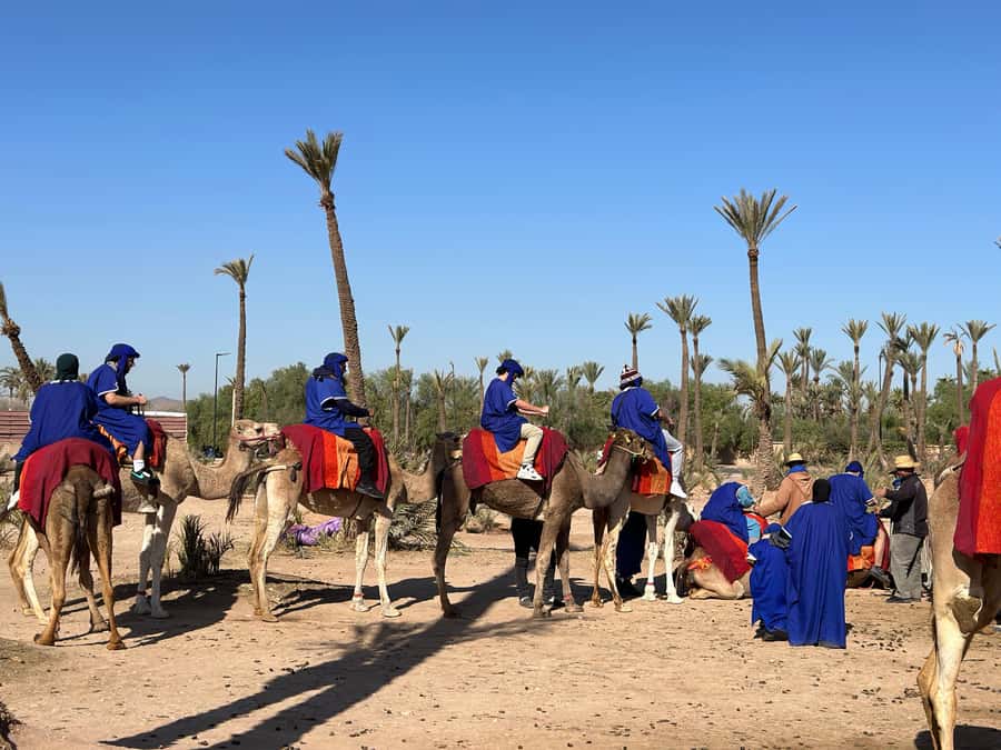Marrakech:quad excursion at Jbilet desert with Moroccan tea - Guide experience: friendly, professional, and built for group riding