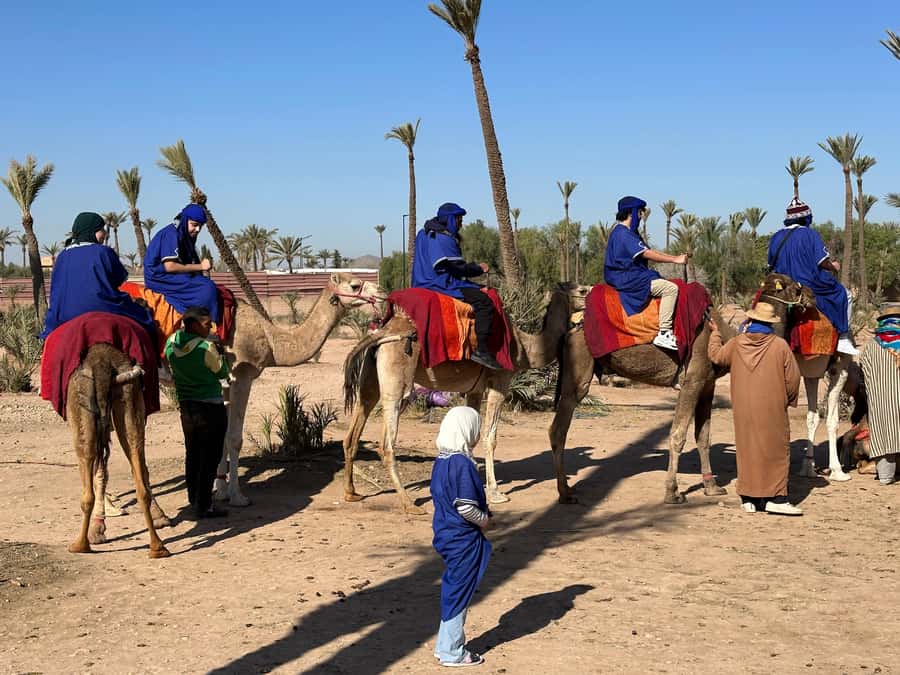 Marrakech:quad excursion at Jbilet desert with Moroccan tea - Price and value: $17 per person can be a steal, if you show up ready
