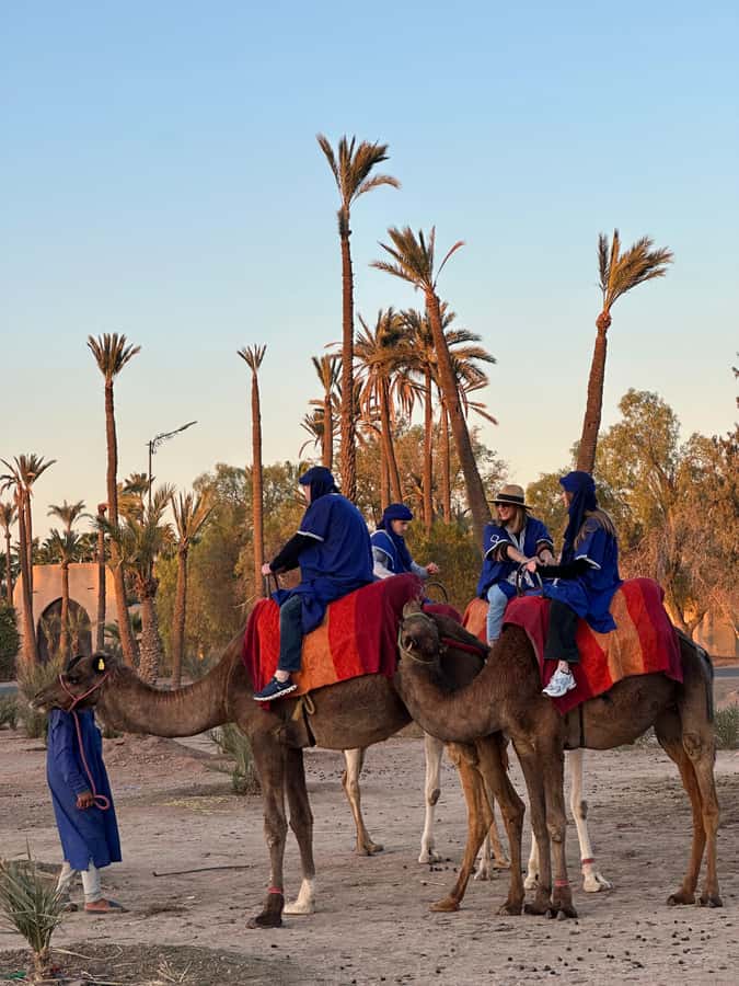 Marrakech:quad excursion at Jbilet desert with Moroccan tea - Hotel transfer in Marrakesh, and the heat factor to watch