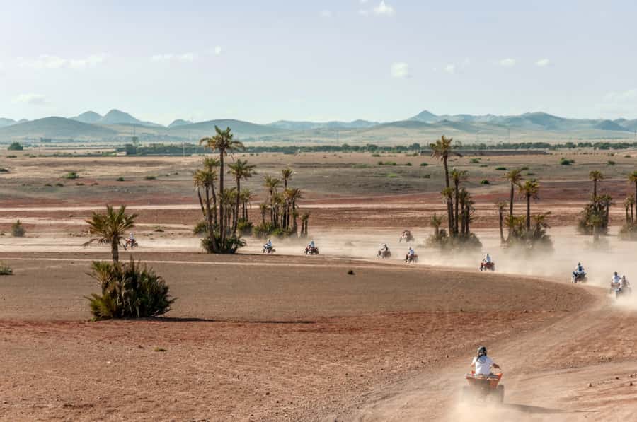 Marrakech: Quad Tour in Jbilets Desert with Palm Grove - How the pickup and van ride sets expectations