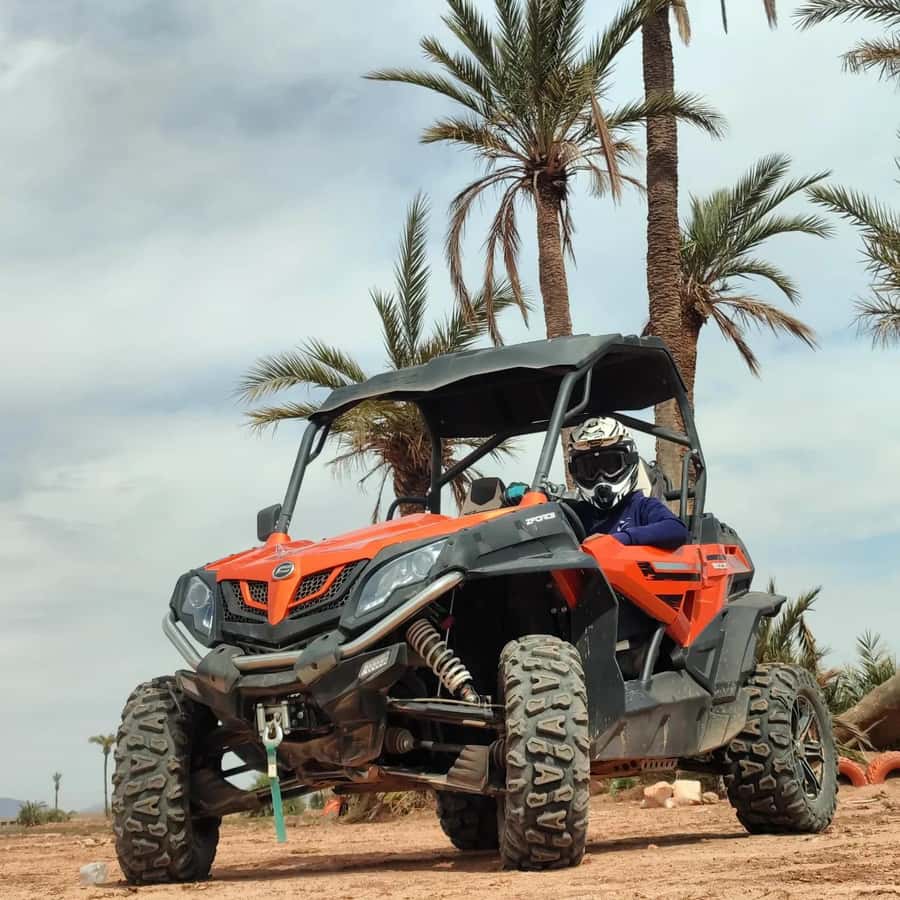 Marrakech : Ride buggy in the desert of the palm grove - Palmeraie photo stop and mint tea: the calm part before the dust