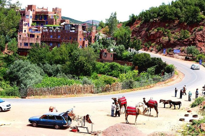 Marrakech : shared trip to ourika valley with guide & lunch - Argan oil cooperative: A useful stop if you care about craft
