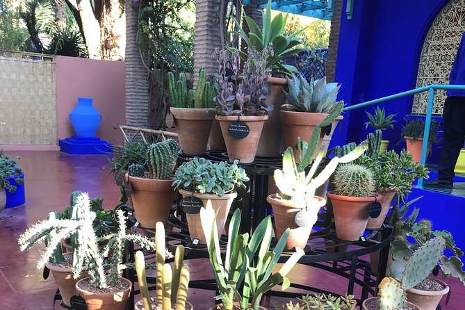 Marrakech Shopping Tour in the Best Galleries in Morocco. - Stop 5: Les Nomades de Marrakech, Berber rug technique and what to ask
