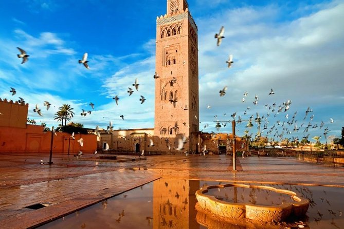 Marrakech Sightseeing Tour - Price and Value: When $34.90 Makes Sense