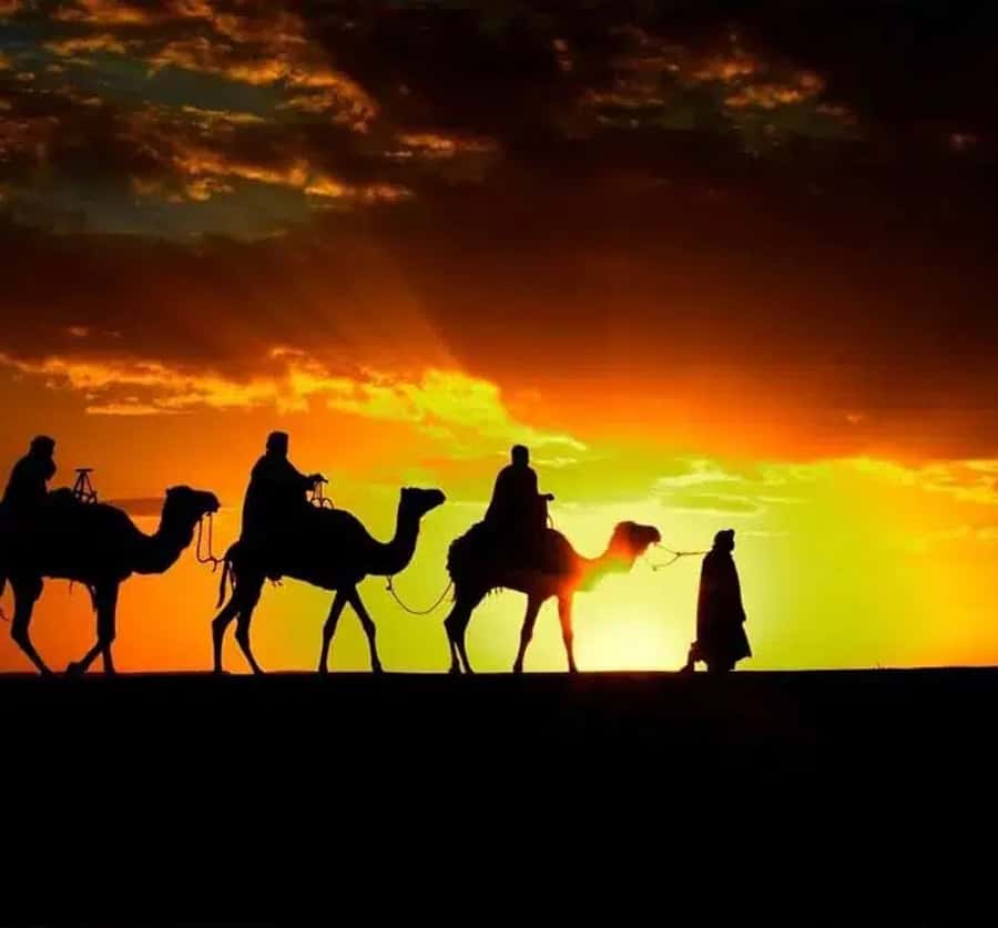 Marrakech: Sunrise Desert Tour with Camel Ride and Breakfast - Quick hits: what makes this Marrakech sunrise tour work