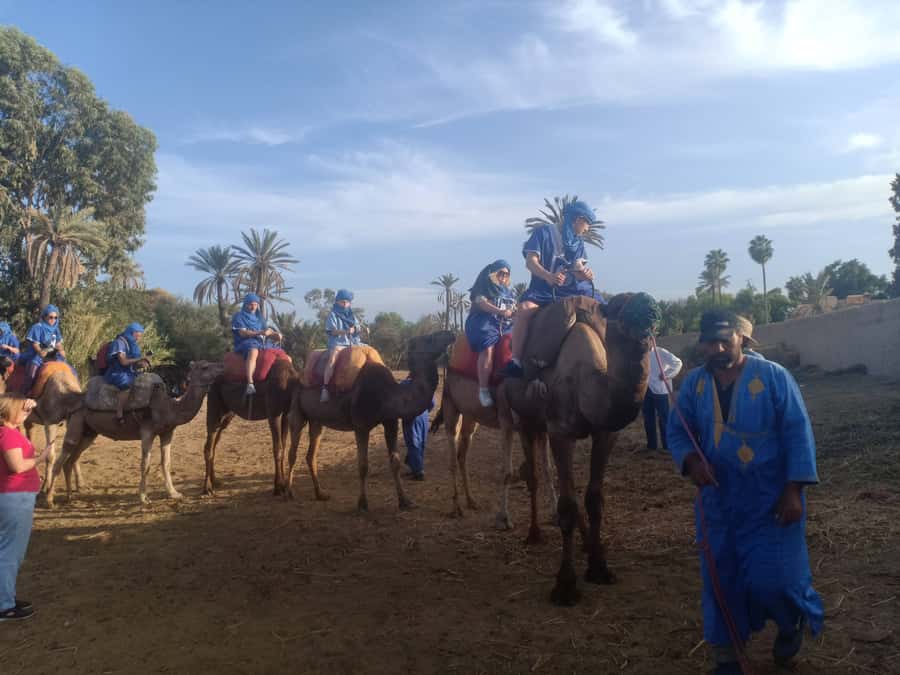 Marrakech: Sunset Camel Ride in the Palmeraie - Key highlights to look for before you go