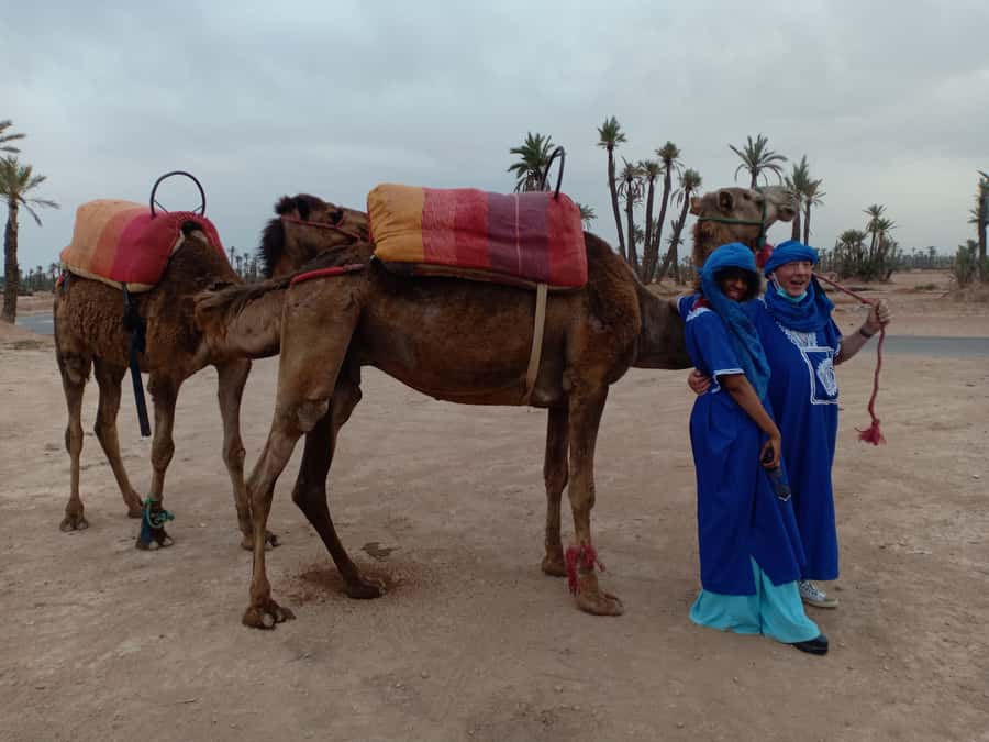 Marrakech: Sunset Camel Ride in the Palmeraie - Palmeraie camel rides: why sunset here feels special