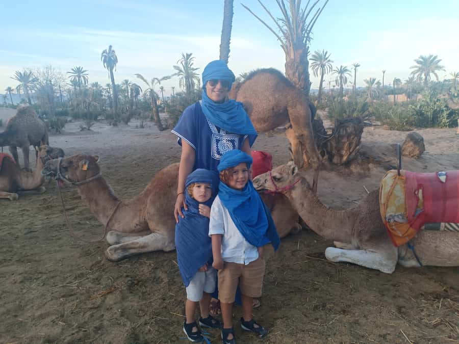 Marrakech: Sunset Camel Ride in the Palmeraie - Who this suits best (and who should skip it)