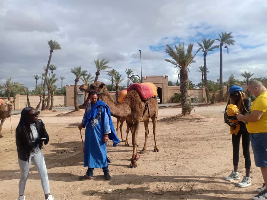 Marrakech: Sunset Camel Ride in the Palmeraie - Tips to make your camel ride more comfortable and photogenic