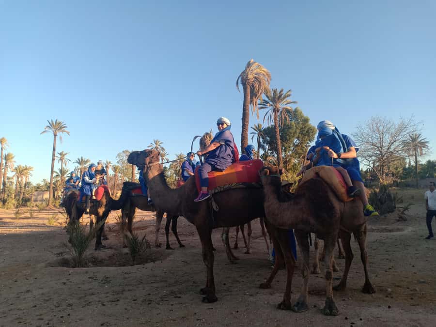 Marrakech: Sunset Camel Ride in the Palmeraie - The real cultural takeaway: more than a photo op