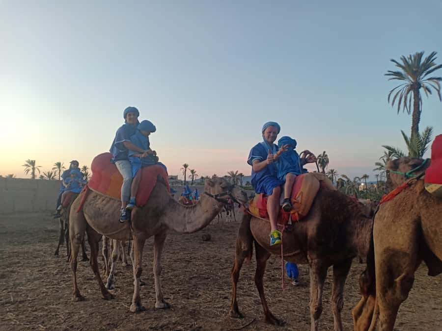 Marrakech: Sunset Camel Ride in the Palmeraie - Should you book this sunset camel ride in the Palmeraie?
