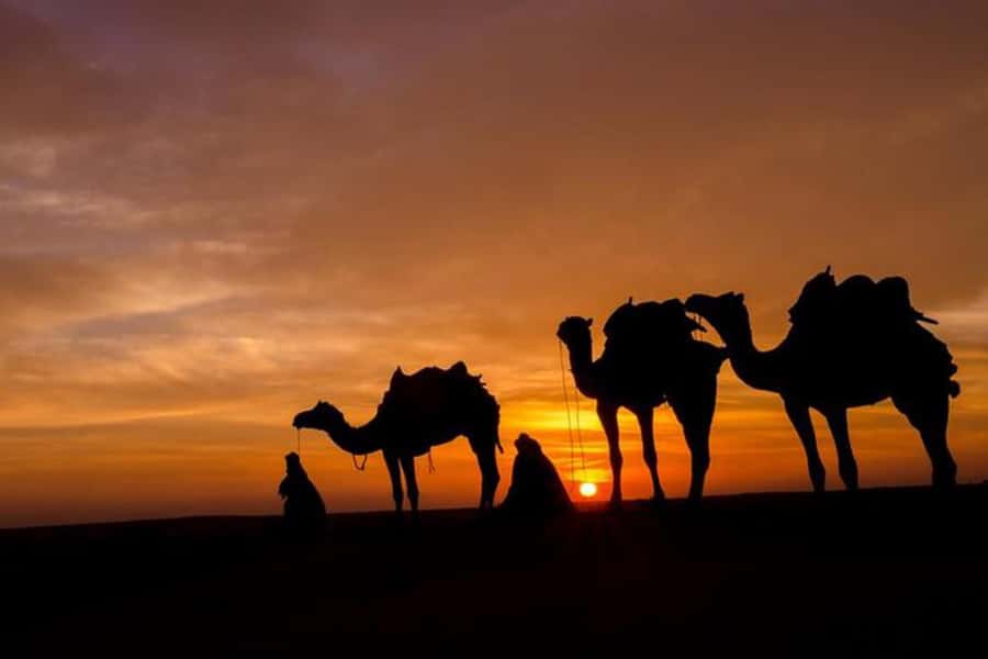 Marrakech: Sunset Dinner in Agafay Desert with Camel Ride - Berber camp timing, Moroccan tea sweets, and the best sky seats